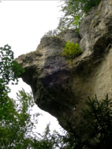 Hohe Nase Pottenstein