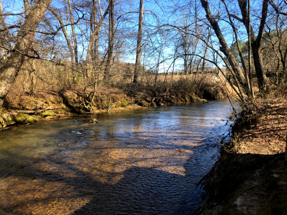 Hothouse Creek, Fannin County, GA Jan 2020 02