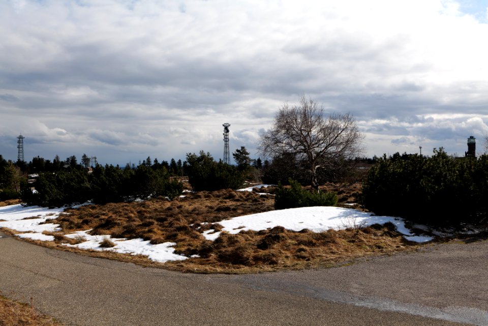Hornisgrinde bog 2020-03-14 01