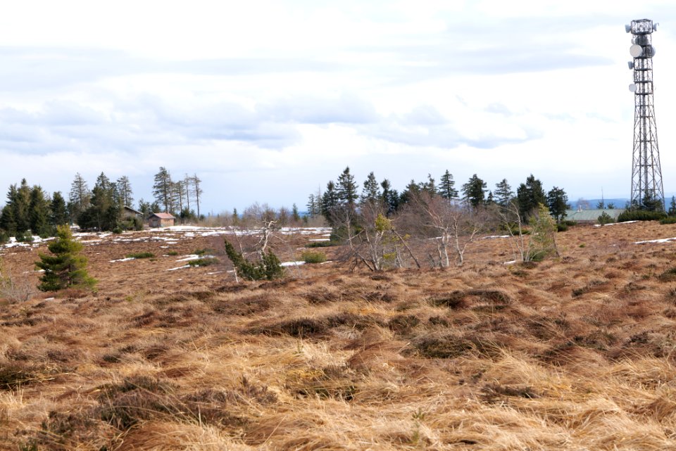 Hornisgrinde bog 2020-03-14 13