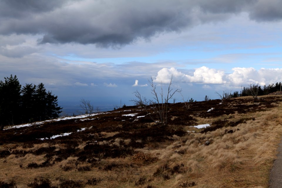 Hornisgrinde 2020-03-14 12