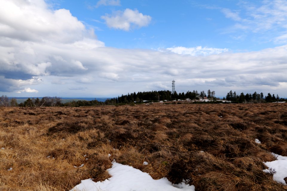 Hornisgrinde bog 2020-03-14 17