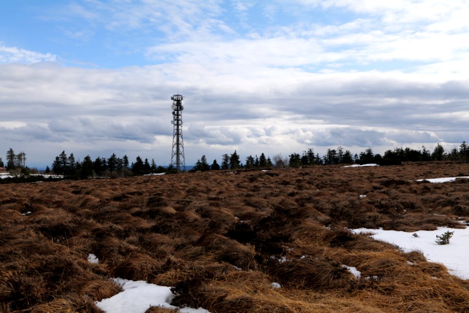 Hornisgrinde bog 2020-03-14 20