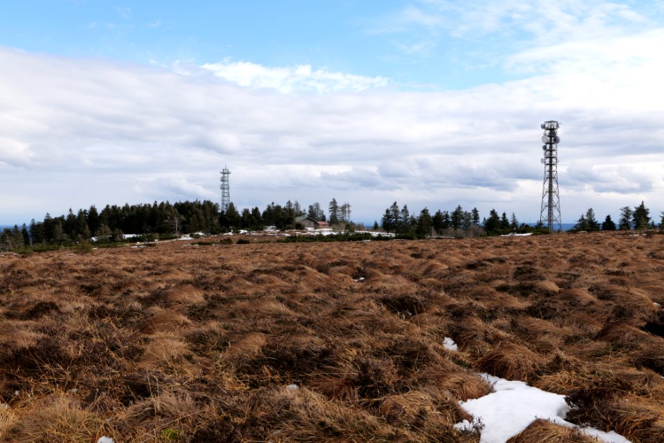 Hornisgrinde bog 2020-03-14 19