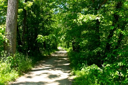 House Falls or Long Canal reused for Chesapeake and Ohio Canal