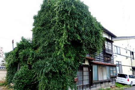 House - Morioka, Iwate - DSC04169