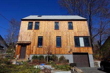 House - Arlington, MA - DSC09845