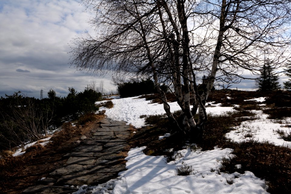 Hornisgrinde 2020-03-14 10