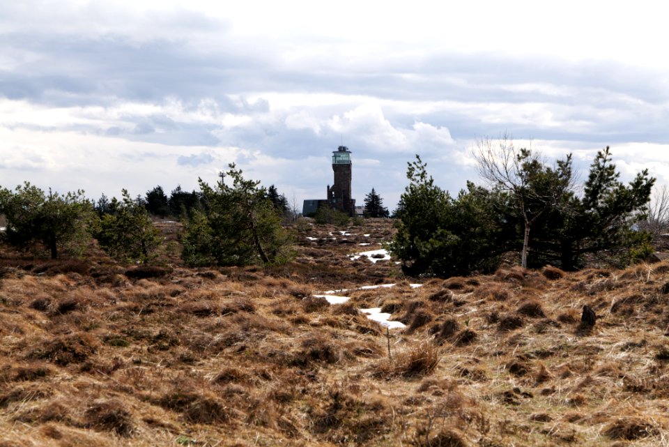 Hornisgrinde bog 2020-03-14 03