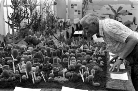 Hortus Botanicus (tropische plantentuin) i.v.m. driehonderdjarig bestaan (int.),, Bestanddeelnr 932-2001