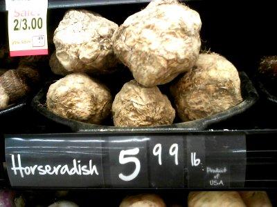 Horseradish root