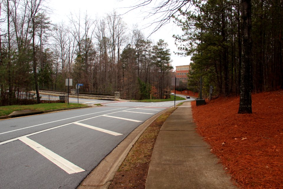 Hospital Parkway, Johns Creek, GA March 2017 1