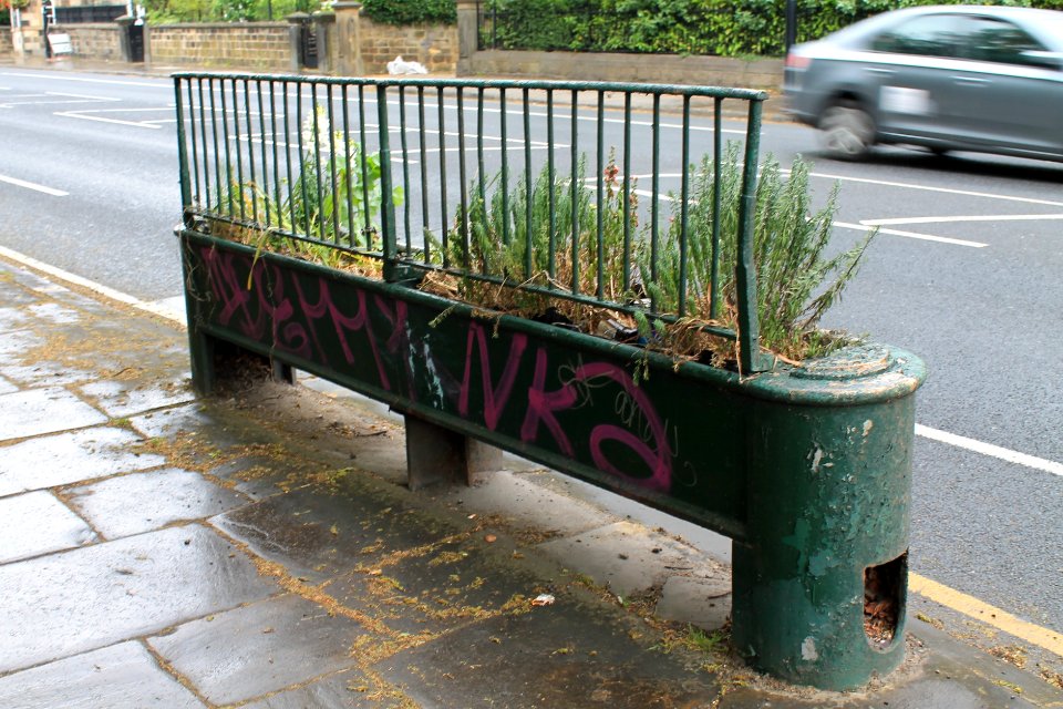Horse trough, Otley Road 2019-06-04 (2)