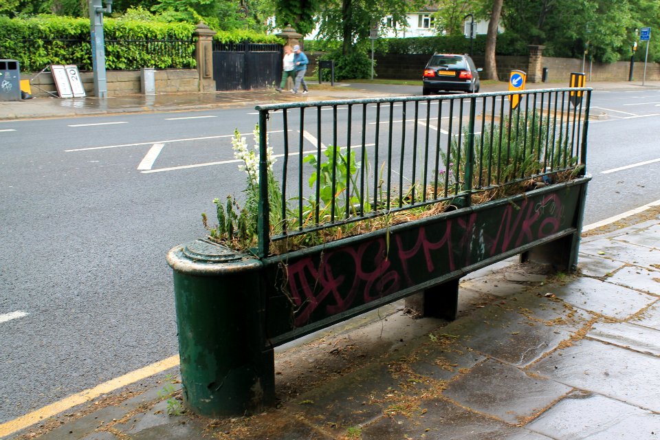 Horse trough, Otley Road 2019-06-04 (3)