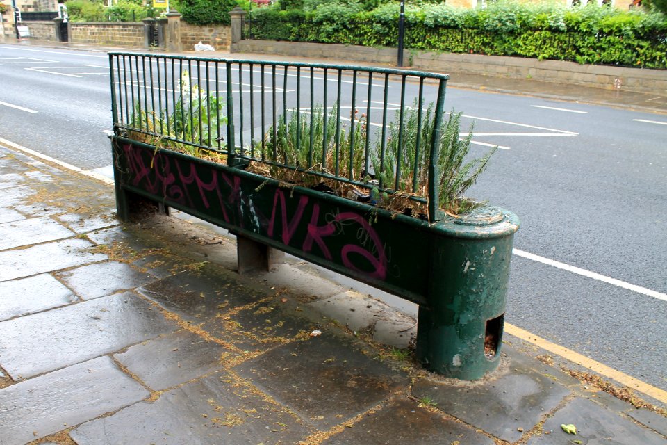 Horse trough, Otley Road 2019-06-04 (1)