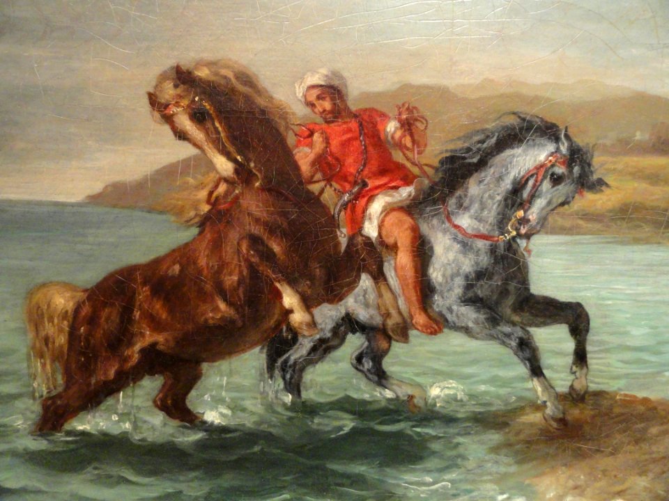 Horses Coming Out of the Sea, Ferdinand-Victor-Eugene Delacroix, 1860 (detail) - Phillips Collection - DSC04757