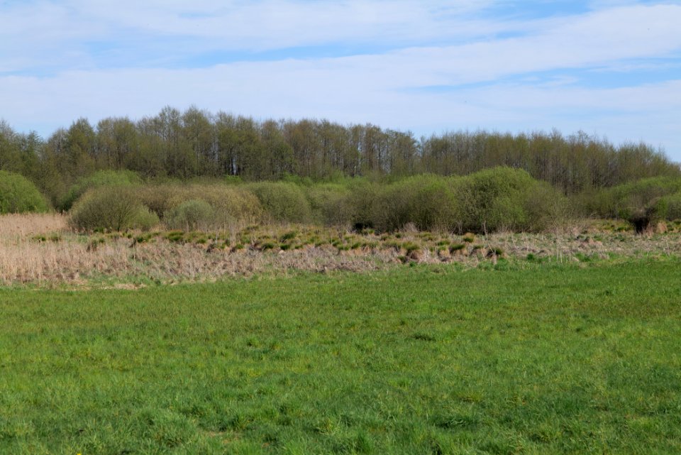 Horstfelder und Hechtsee 2021-05-09 14