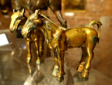 Horses, unidentified - Kulenovic Collection - Karlskrona, Sweden - DSC08535