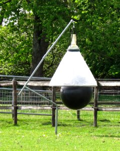 Horsefly trap photo