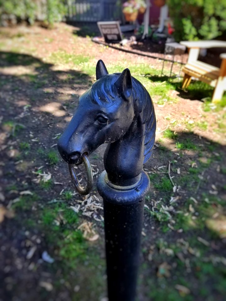 Horse hitching post 01 - Arlington, MA