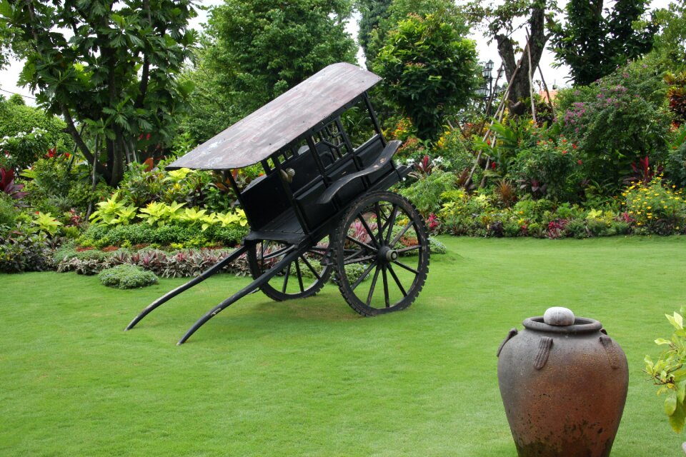 Horse carriage green garden rural