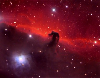 Horsehead Nebula up Close