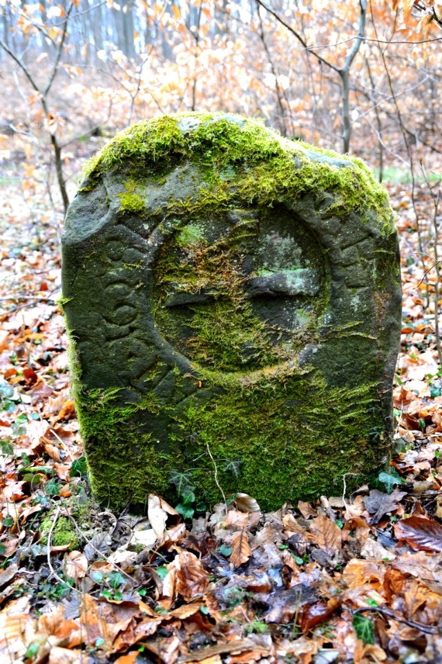 Horn - Grenzstein 66 (3)