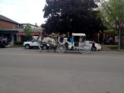 HorsedrawnCarriageNiagara