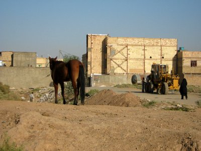 Horse - Near Hakim Hospital of Nishapur 42