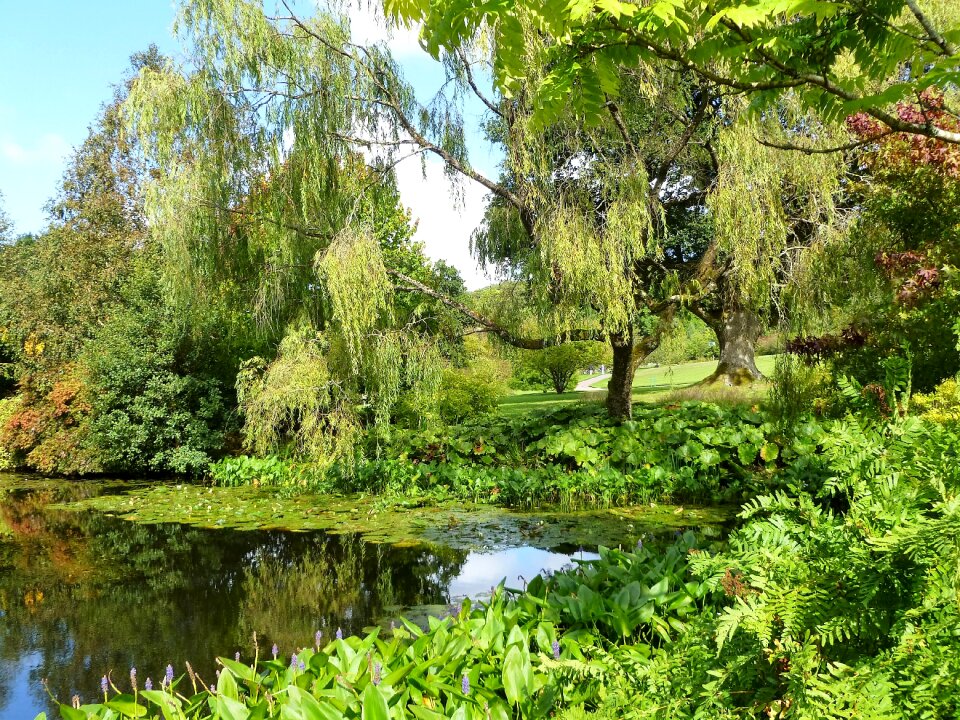 English nature park