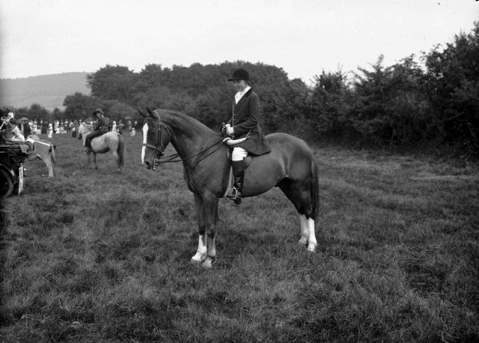 Horse and rider (1293889)