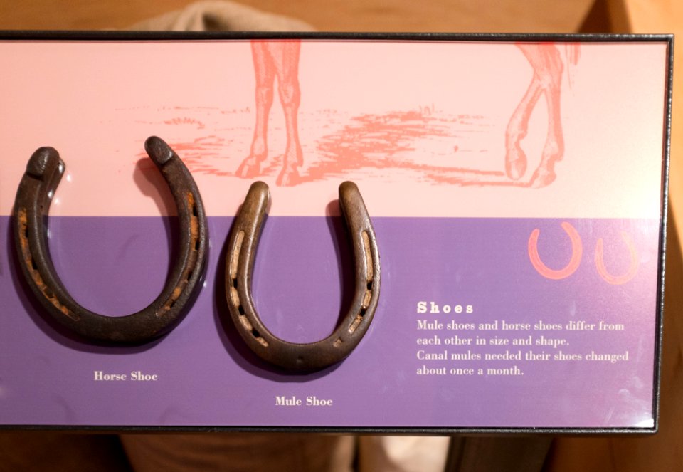 Horse and Mule shoes