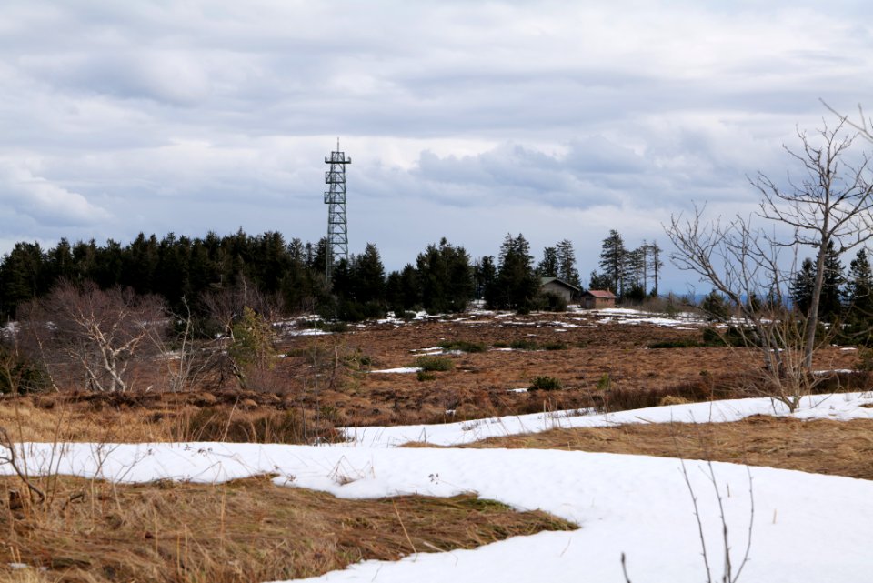 Hornisgrinde bog 2020-03-14 15