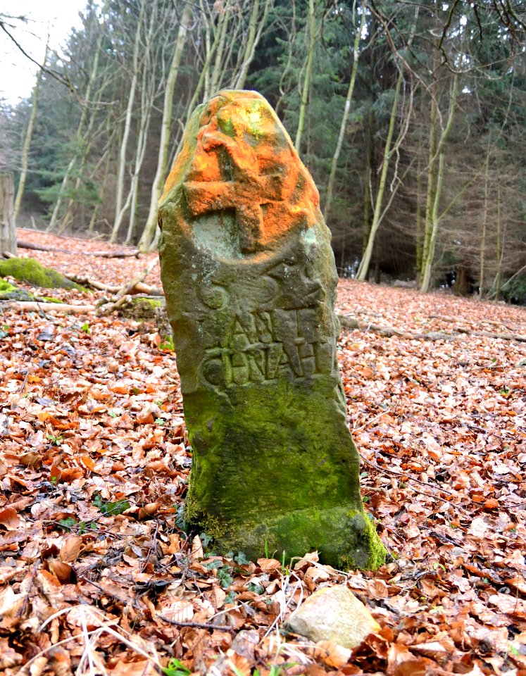 Horn - Grenzstein 67 (2)