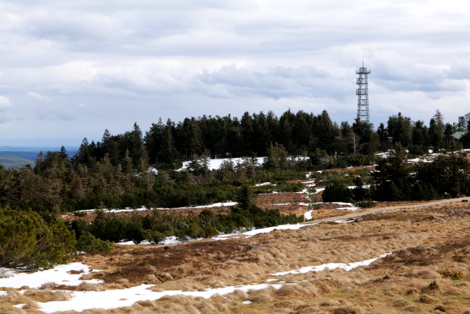 Hornisgrinde bog 2020-03-14 06