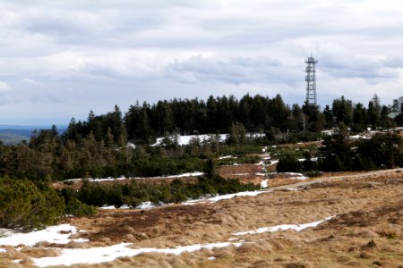 Hornisgrinde bog 2020-03-14 06