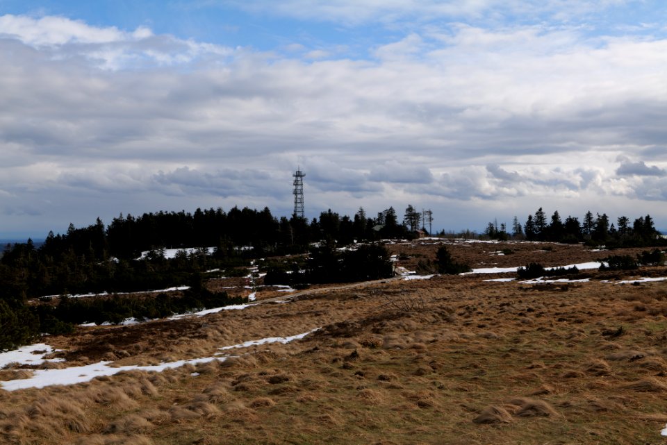 Hornisgrinde bog 2020-03-14 08