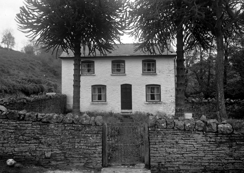 House (1295057)