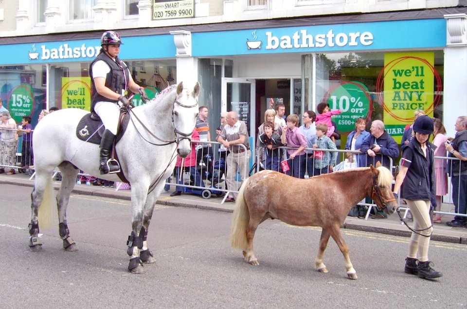 HorsesRiverFestivalParade