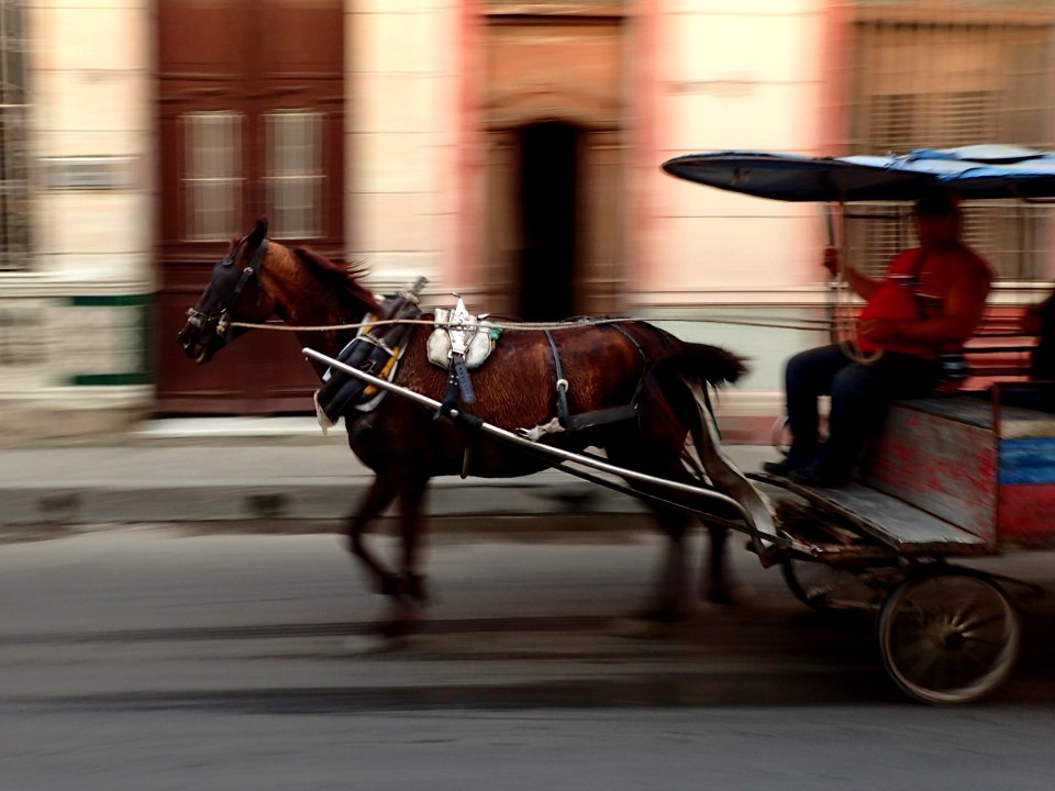 Horse and buggy in Santa Clara, Cuba