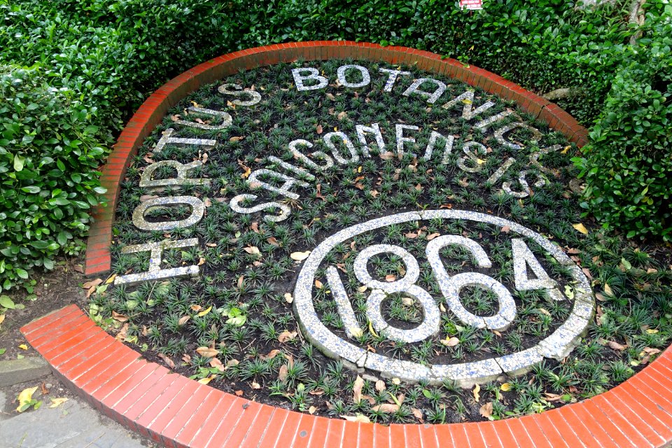 Hortus Botanicus Saigonensis - Saigon Zoo and Botanical Gardens - Ho Chi Minh City, Vietnam - DSC01265