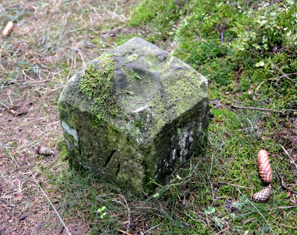 Horn - Markierungsstein Velmerstot (2)