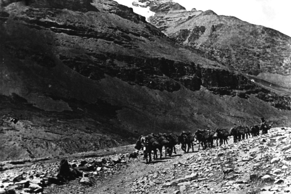 Horse transport on trade route in Tibet on 24 March 1959, from- Beeld van het landschap in Tibet, Bestanddeelnr 910-2398 (cropped)