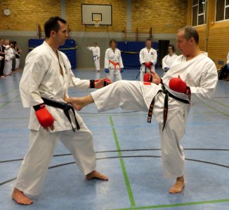 Horst Espeloer 2014-01-17 Mae-geri