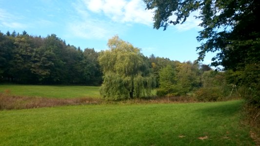 Hornau, Braubachtal bei Hornau
