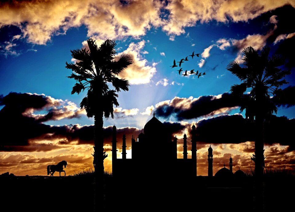 Evening sky palm trees building