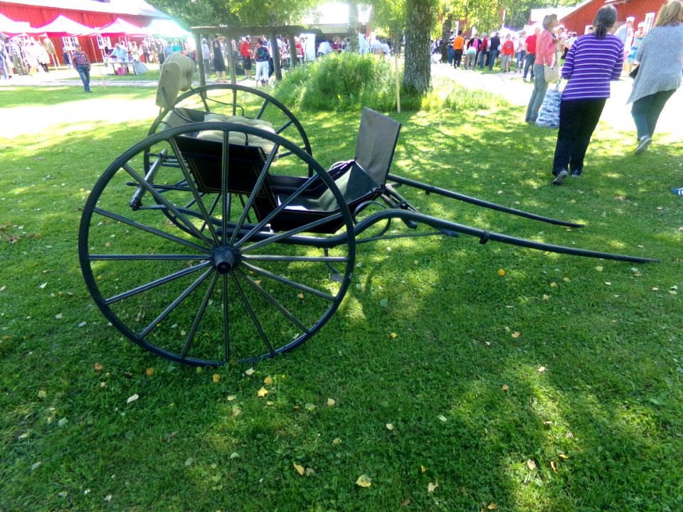 Horse cart at Gammelgården