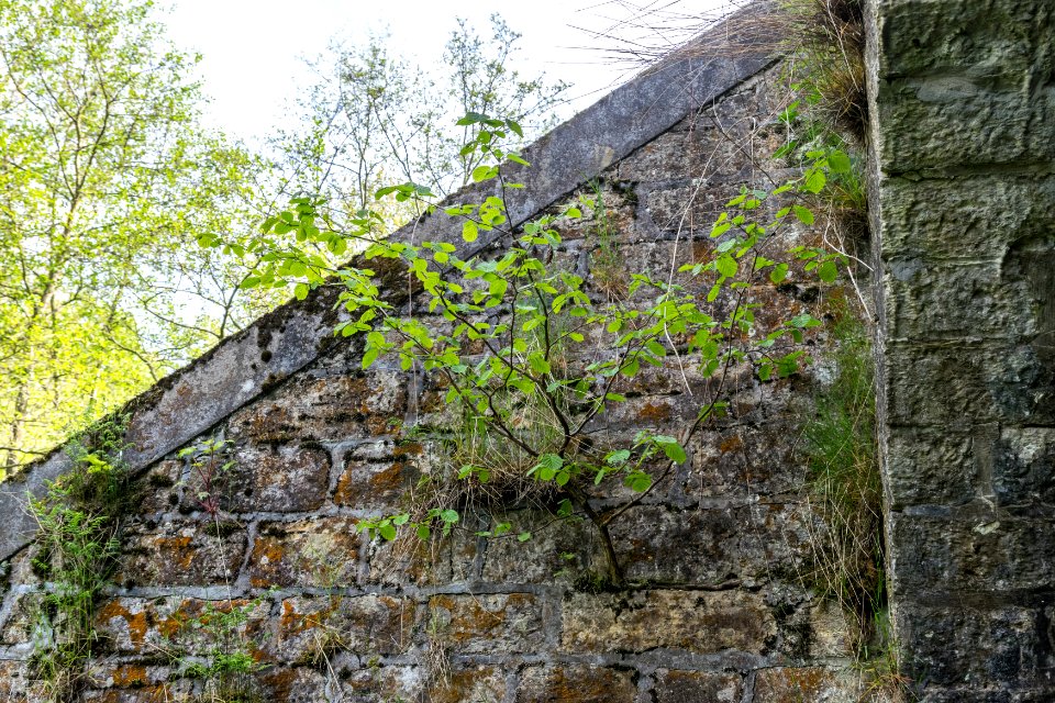 Horn-Bad Meinberg - 2015-05-10 - LSG-4118-0001 (5)