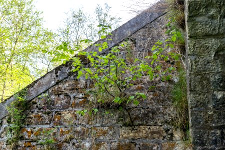 Horn-Bad Meinberg - 2015-05-10 - LSG-4118-0001 (5)