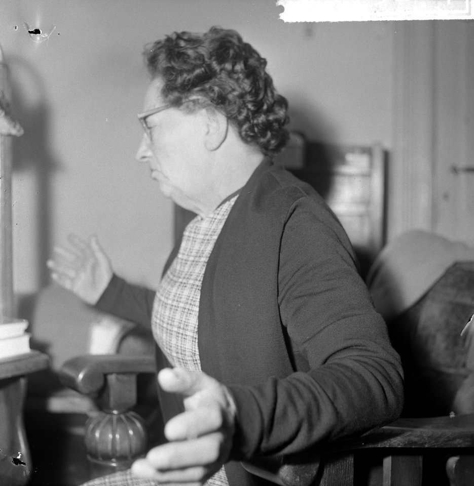 Hospita Pieter van Vollenhoven te Leiden, opdracht Het Parool, Bestanddeelnr 917-5217